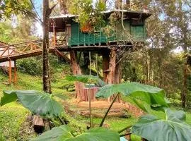 Casa en el Arbol - Cerca Metrocable ARVI - Camping