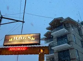 HOGS Panorama - Manali