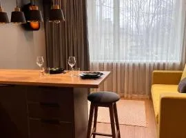 Studio Apartment Near Airport, Free Parking