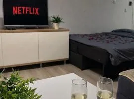 Apartment Dion