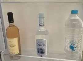 Luxury Villa Hyper center