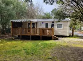 La Lette fleurie - Mobil home Spacieux climatisé 6-8 personnes tout équipé en camping 4 étoiles