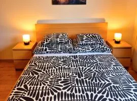 City Center Apartments - Moderna Brno Římské náměstí VI