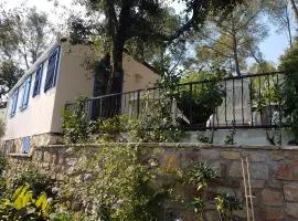 Soucado