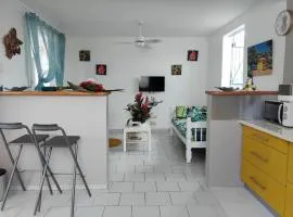 Maison à Saint-François, 100 m² avec terrasse