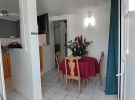 Appartement cosy à Saint-François avec balcon