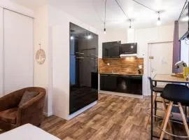 Studio Le Nid Douillet balcon, wifi, centre-ville