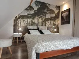 Chambre d'hôtes proche zoo de Beauval, l'olivier de chémery