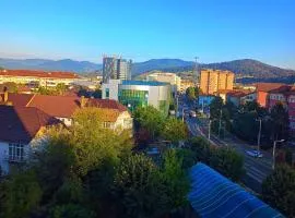 Studio Miruna