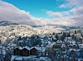 Shiro Lodge, Hotel in Predeal