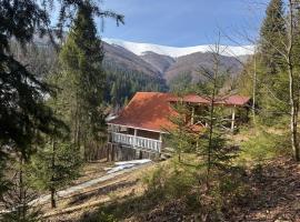 Domik v gorakh, hotel a Bukovets