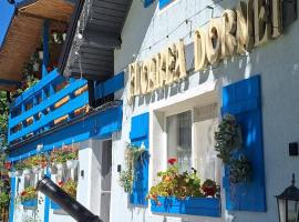 Pensiunea Floarea Dornei, hotel en Şaru Dornei