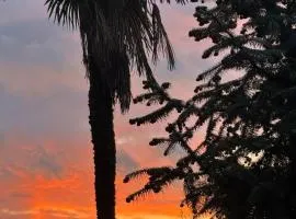 Carpe Diem Boutique Resort