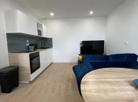 Duplex rénové 2 chambres Centre Gouesnou Parking & Wifi