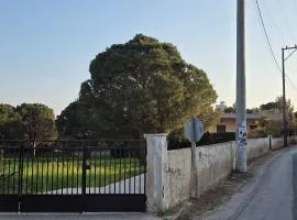 Authentic Garden House in Sounio