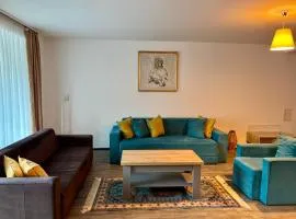 Mountain View Silver Apartment