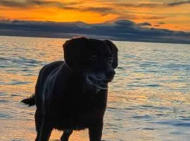 BELLESVIEW Clarach Bay