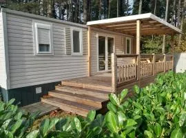 Breebos Chalet near Antwerp Camp