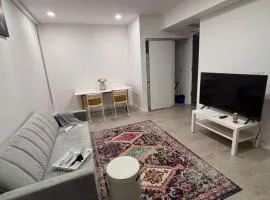 Cozy 1 bed and 1 bath Executive Retreat