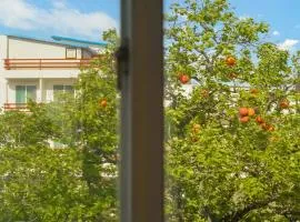 Goseong Gamnamu Pension