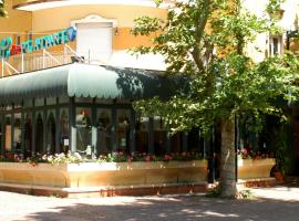 Hotel Dei Platani, hotel a Rimini