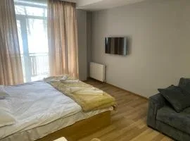 Cozy apartment Dvali