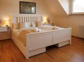 Ferienwohnung Schwarzwaldnest 2 - black forest nest 2, im Herzen von Emmendingen