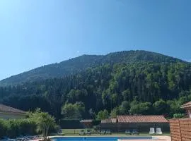 Chalets traditionnels en bois