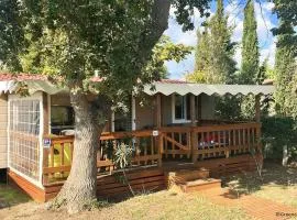 Camping Paradiso - 37