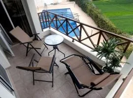 A Blue Diamond in the Green Valley