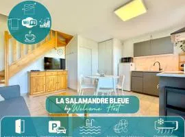 La salamandre bleue : 4 pers piscine à Calvisson