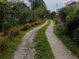 Stay Pal Be Vi 3BHK Pvt cottage near Ranikhet