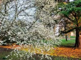 Morphoses, Maison d'hôtes créative