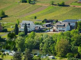 Ferienweingut-Liebfried, hotel v destinaci Nehren