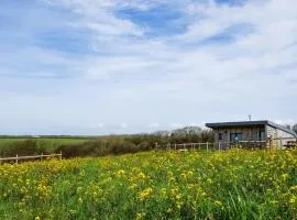 1 Bed in Bude oc-88499