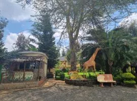 Karen Little Paradise