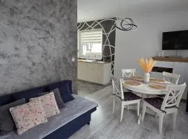 Apartament Nowe Maniowy