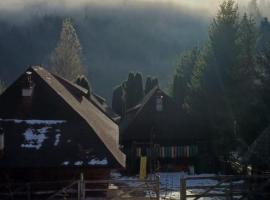 Cabanele de la Furcitura, hotel di Bicaz