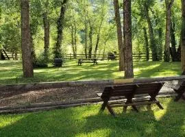 Vintage TATA River Cabin- Shavano Cabin