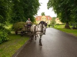 Schloss Lühburg-Insel der Ruhe im Mecklenburger ParkLand