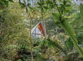 Glamping en El Retiro