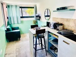 Appart Ethan PROCHE DU CENTRE AVEC PARKING ET JARDIN