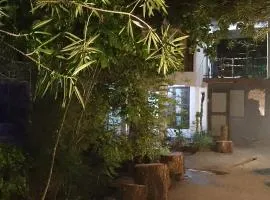 Game changers lodge Safari