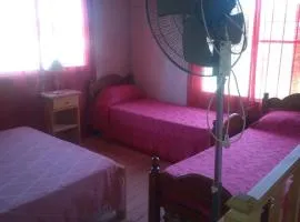 Casa Ibira pita