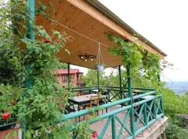 View House - Sighnaghi