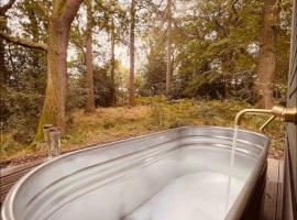 The Bodos Hut、Lintz Greenのホテル