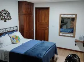 Central Apartment 03