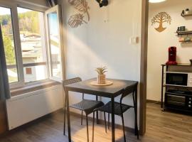 Studio cosy à Gérardmer 5 min centre 10 min lacs, hotel i Gérardmer