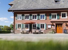Boutiquehotel Ochsen, hotel in Lenzkirch