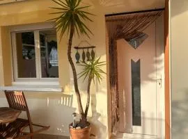Mediterranean Garden